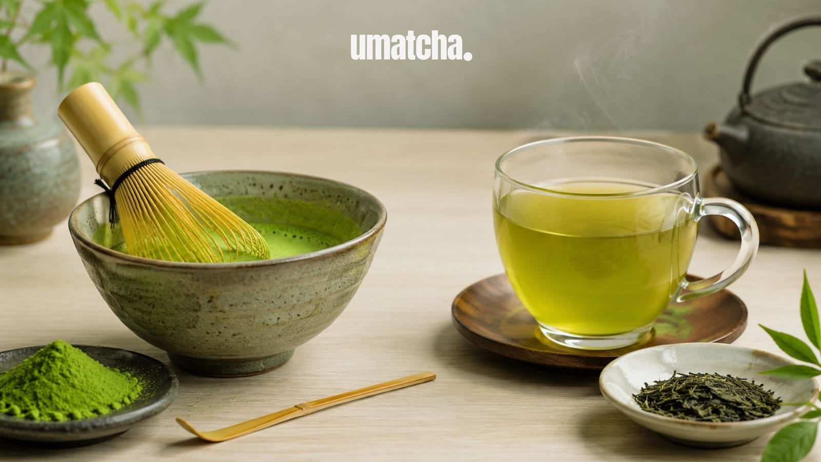 Matcha Sama Green Tea, Sama Kan? Ini Perbedaannya!